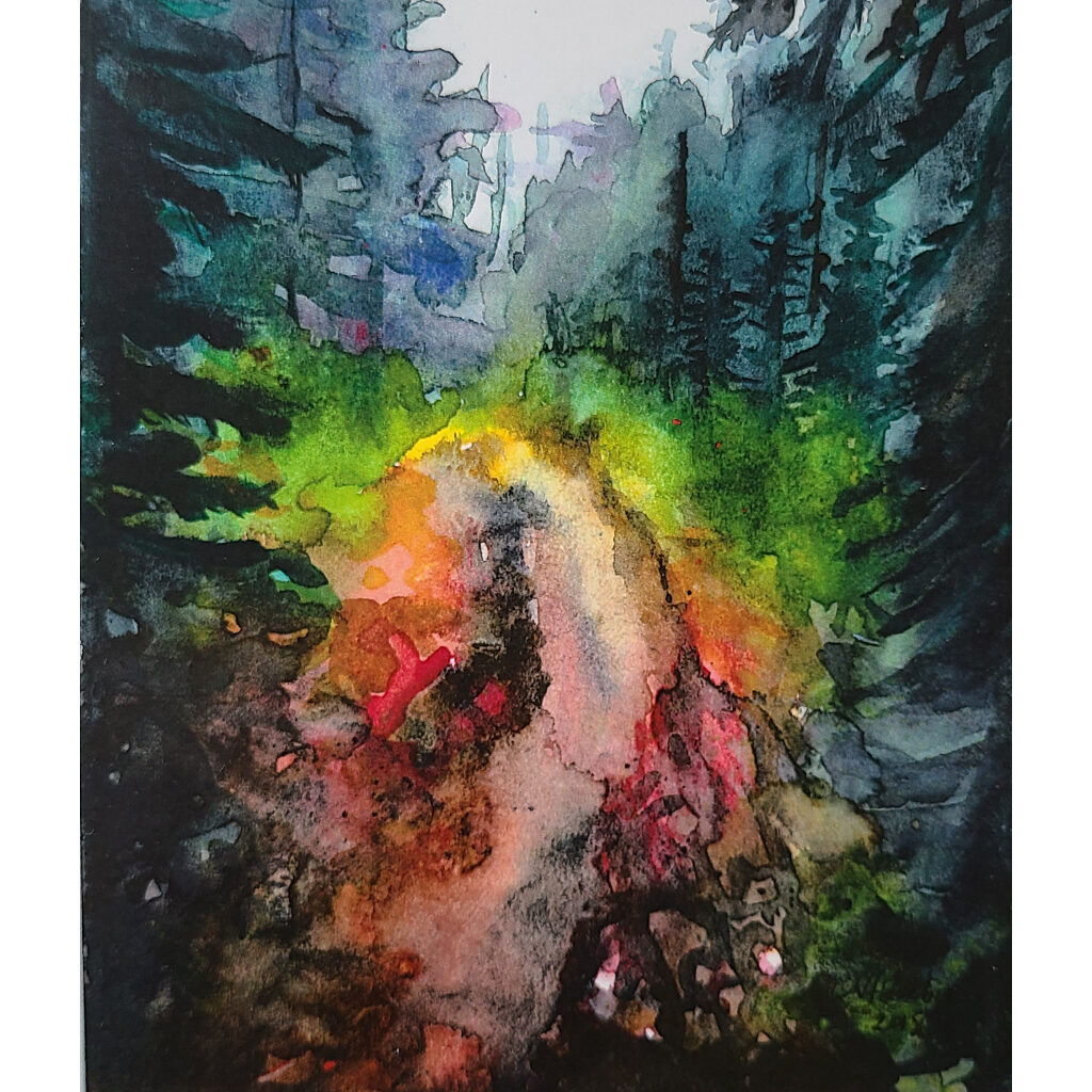 Sumas Mountain SW Landscape