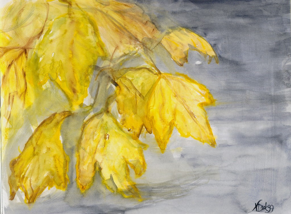 YELLOW LEAVES