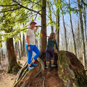 McKee Peak Nurse Tree