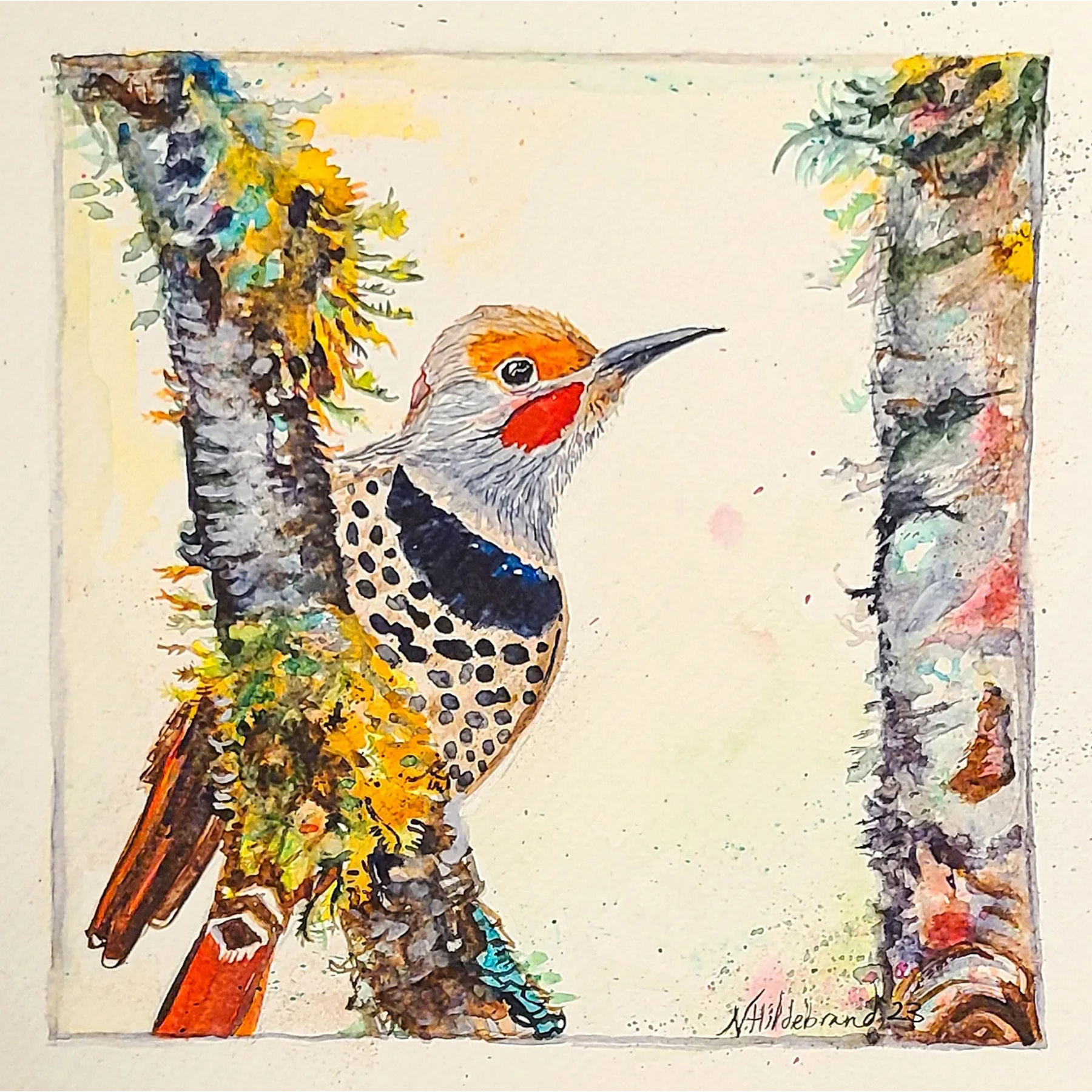 Northern Flicker