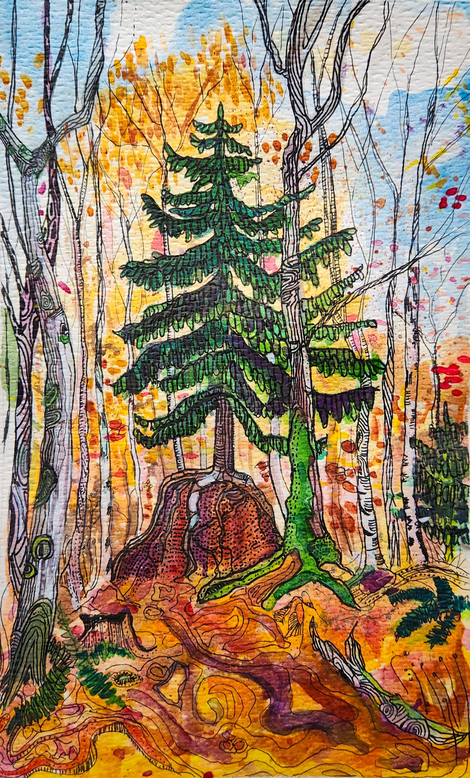 McKee Peak Nurse Tree - II