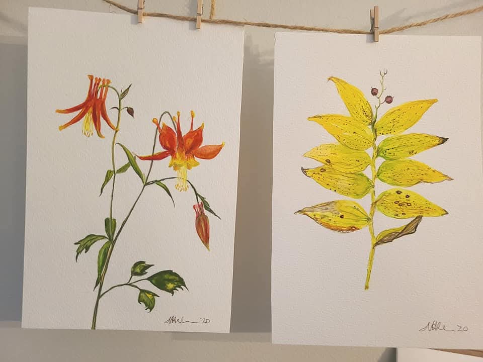 Native plants