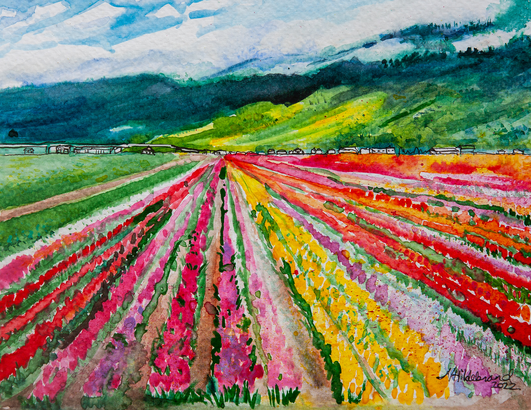 Abbotsford Tulip Fields